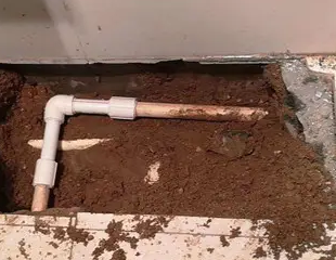 剑川测漏水哪家好