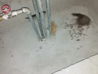 剑川卫生间测漏水价格明细