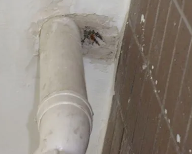 剑川漏水检测哪家好